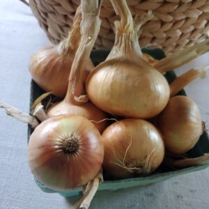 Onions