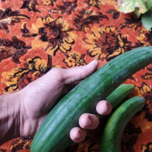 Cucumbers