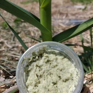 Pesto