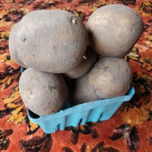 Potatoes, yellow (John Wood)