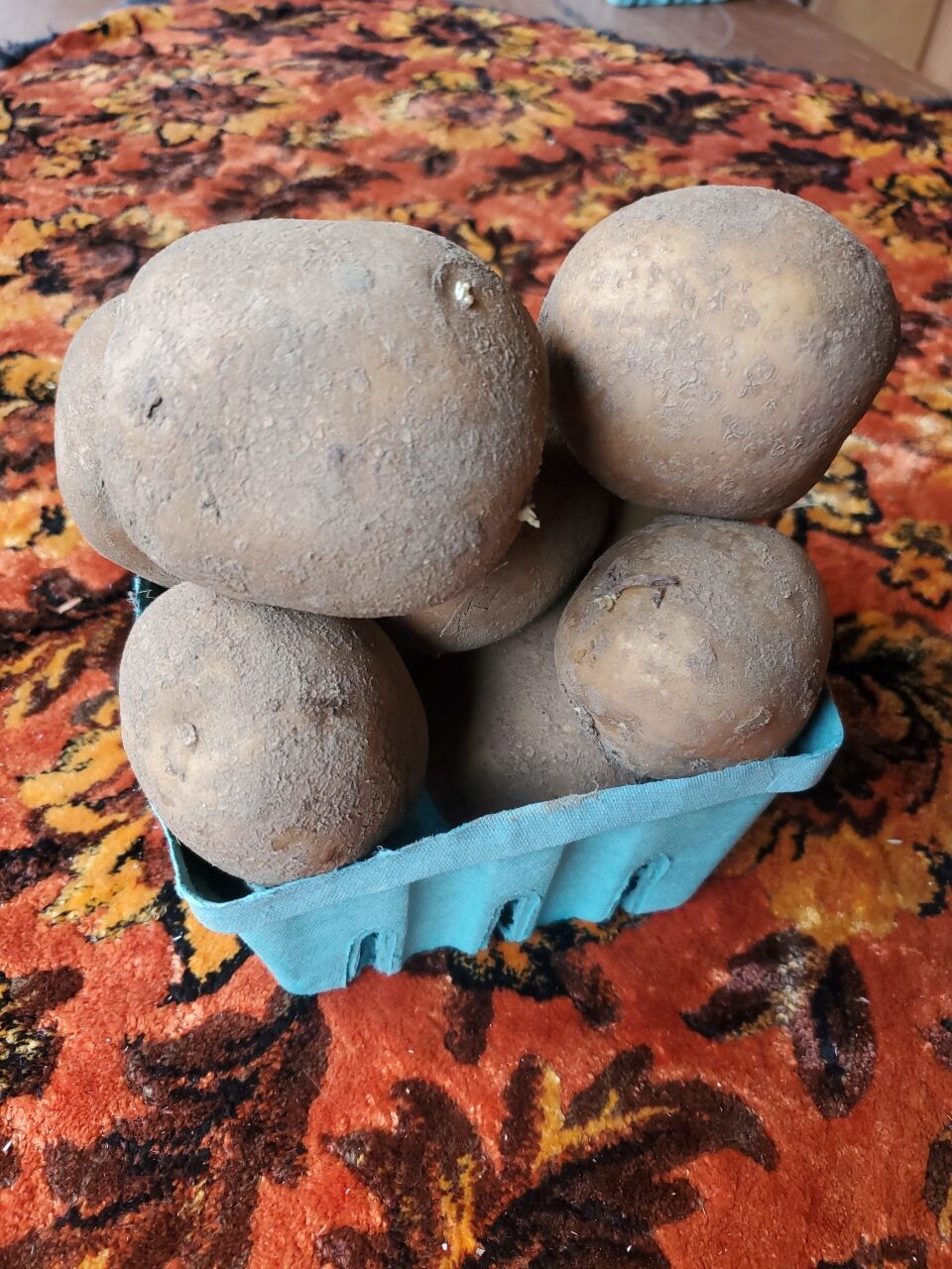 Potatoes, yellow (John Wood) - Image 2