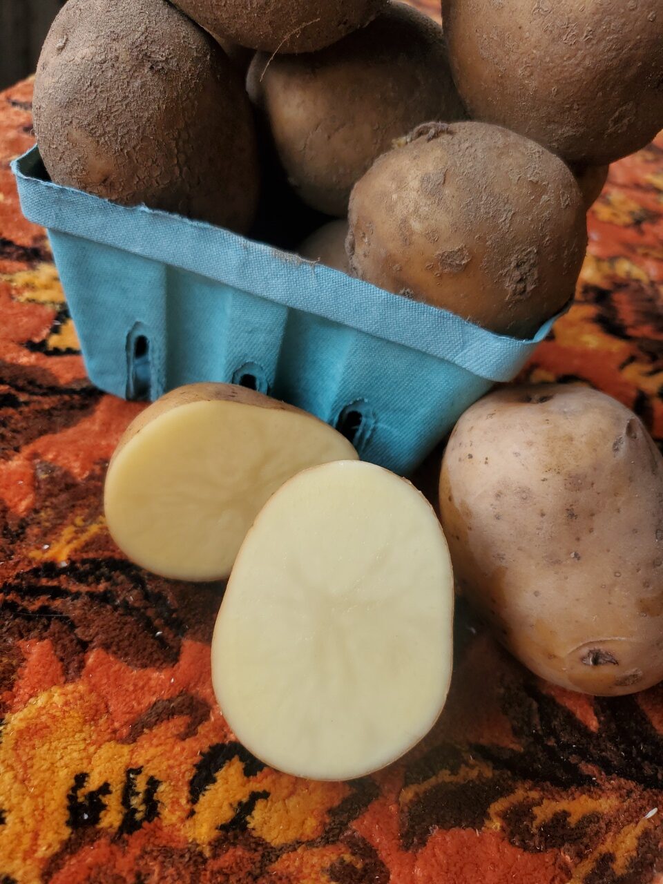 Potatoes, yellow (John Wood)