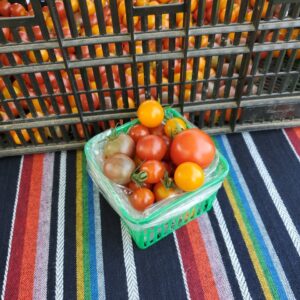 Cherry Tomatoes