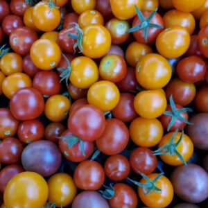 Cherry Tomatoes
