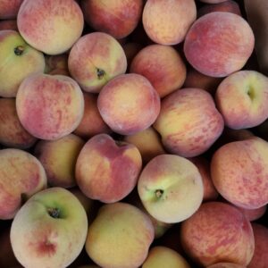 Peaches from Palatine Fruits and Roses