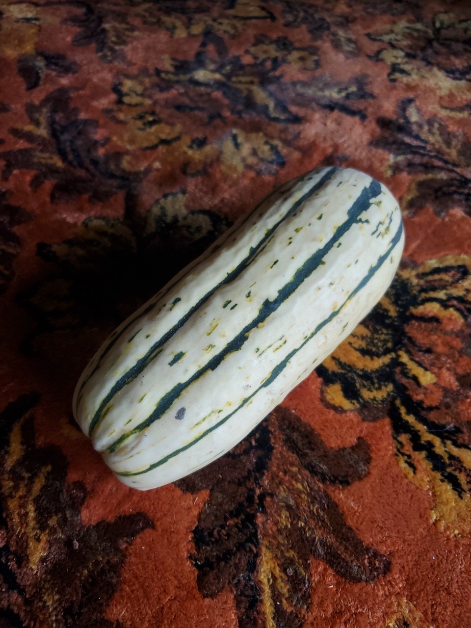 Delicata Squash ( lunar rhythm gardens ) - Image 2