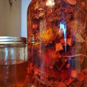 Fire Cider