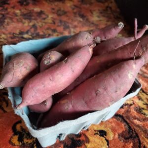 Sweet Potatoes, smaller ( lunar rhythm gardens )