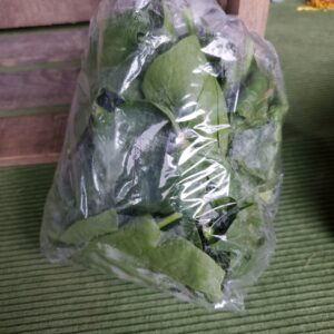 Spinach