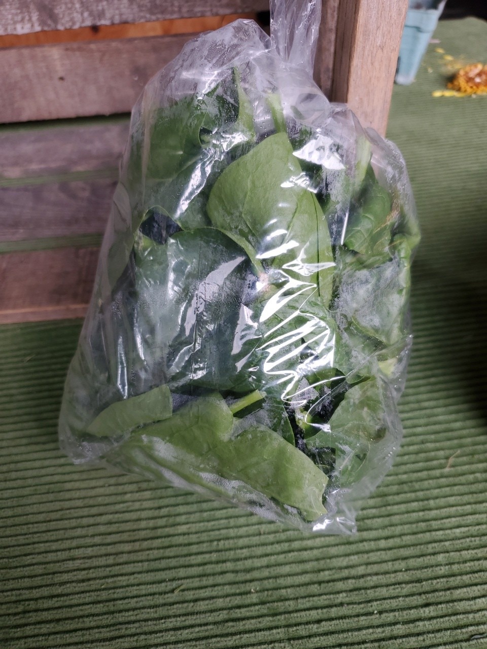 Spinach