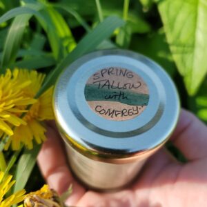Spring Tallow Balm with Comfrey