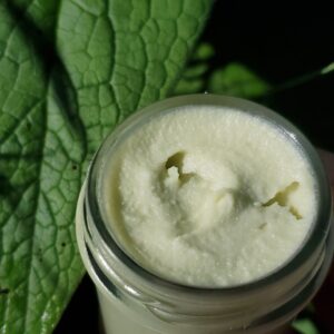 Spring Tallow Balm with Comfrey